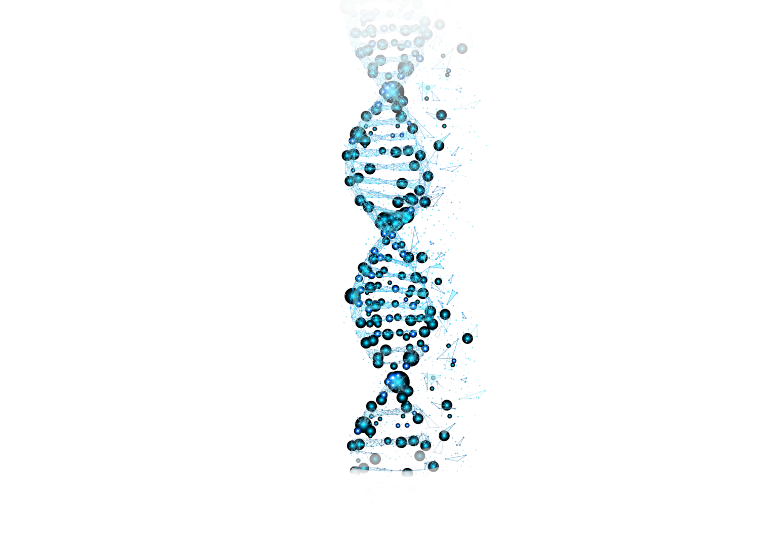 Visual_Bereiche_Web_DNA
